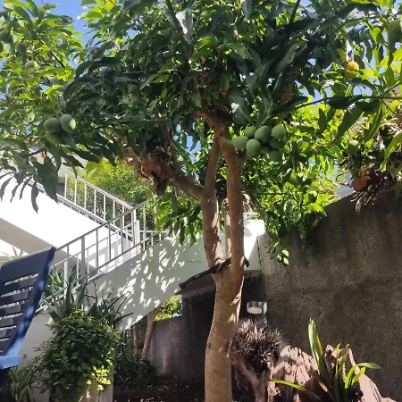 Δωμάτια σε οικογενειακή κατοικία Casa Da Avo Rosa