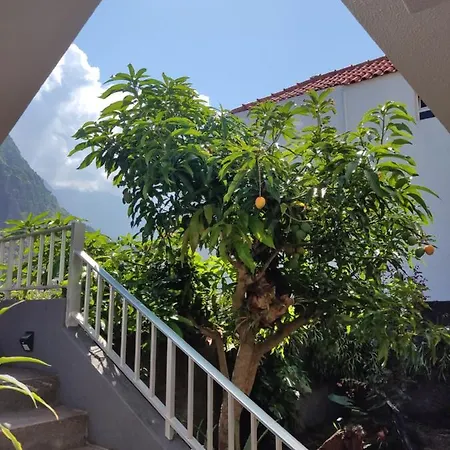 Casa Da Avo Rosa Δωμάτια σε οικογενειακή κατοικία São Vicente