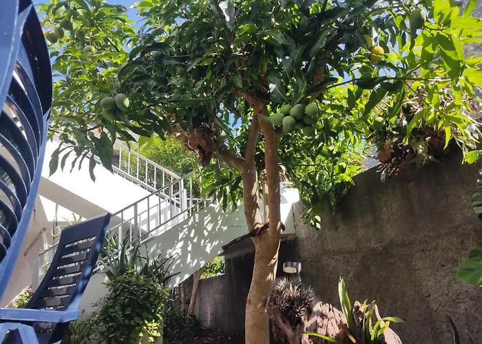 Kwatera prywatna Casa Da Avo Rosa