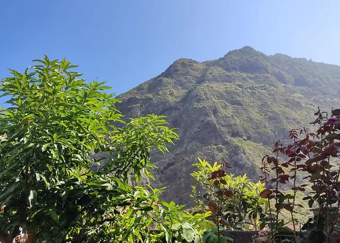 Casa Da Avo Rosa Kwatera prywatna São Vicente