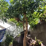 Homestay Casa Da Avo Rosa
