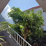 Casa Da Avo Rosa Homestay Sao Vicente (Madeira)