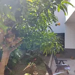 Casa Da Avo Rosa Homestay