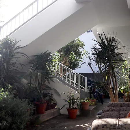 Casa Da Avo Rosa ホームステイ