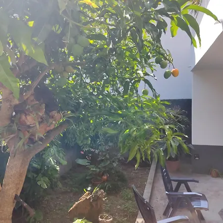 Casa Da Avo Rosa ホームステイ