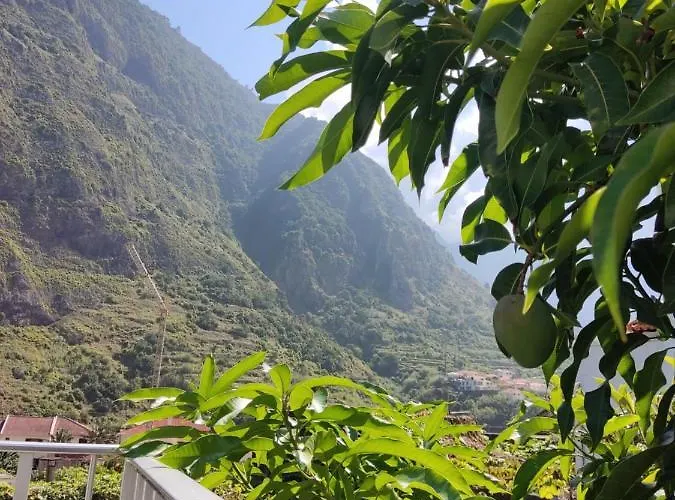 Ubytování v soukromí Casa Da Avo Rosa São Vicente