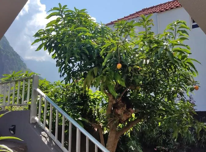 Casa Da Avo Rosa בית אירוח São Vicente