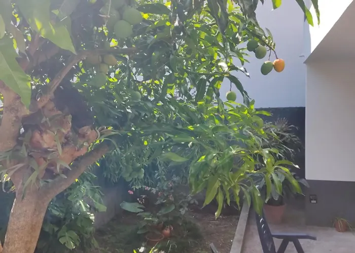 Casa Da Avo Rosa בית אירוח